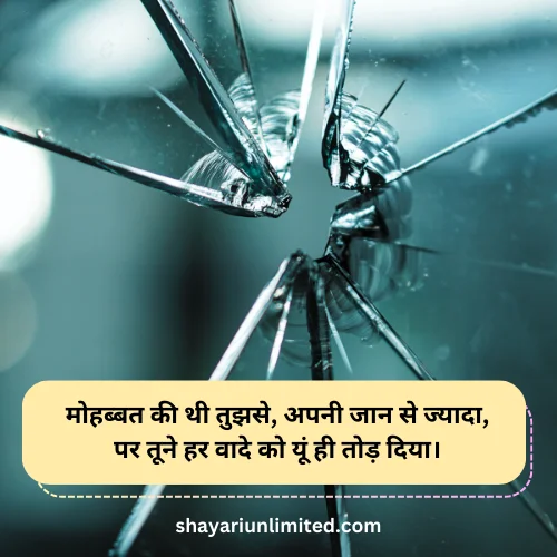 bewafa shayari in hindi for love