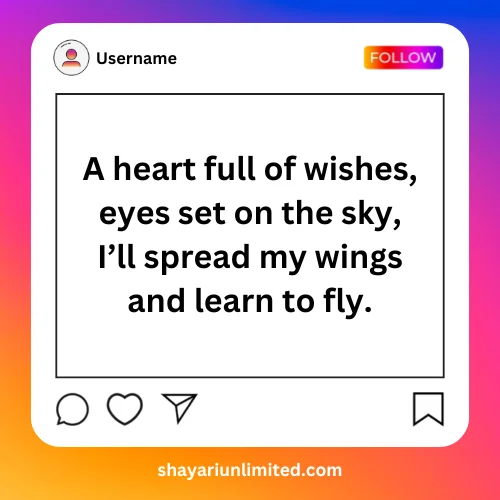 instagram bio shayari in english