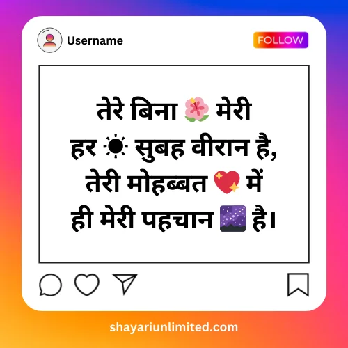 instagram bio shayari love