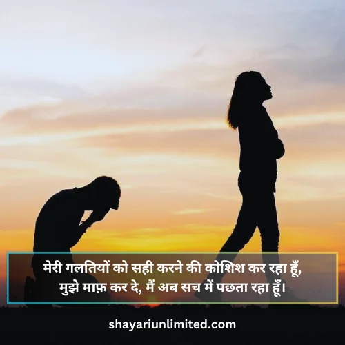 sorry shayari 2 lines