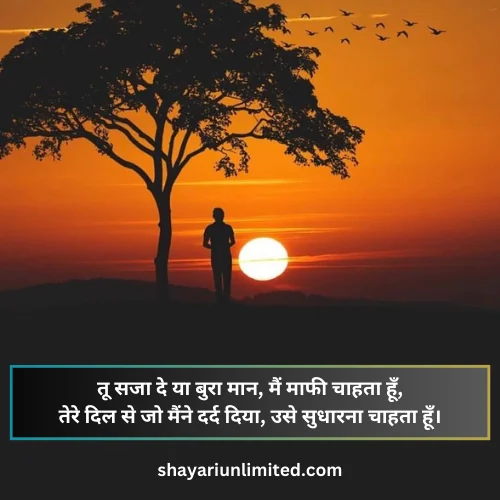 sorry shayari 2 lines